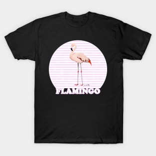 Flamingo Bird Watching Birding Ornithologist Gift T-Shirt